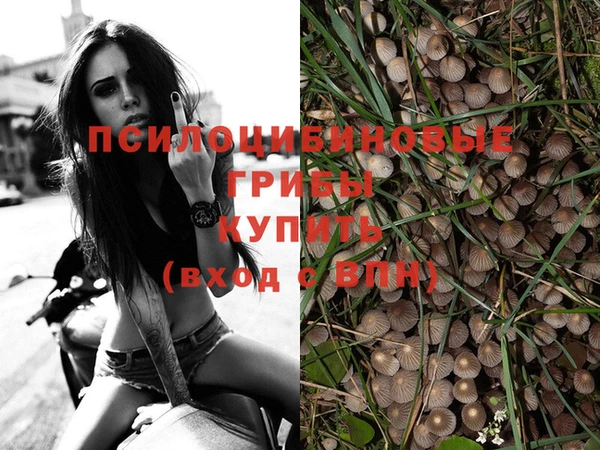 соль курить ск Абинск
