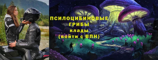 a pvp Абаза